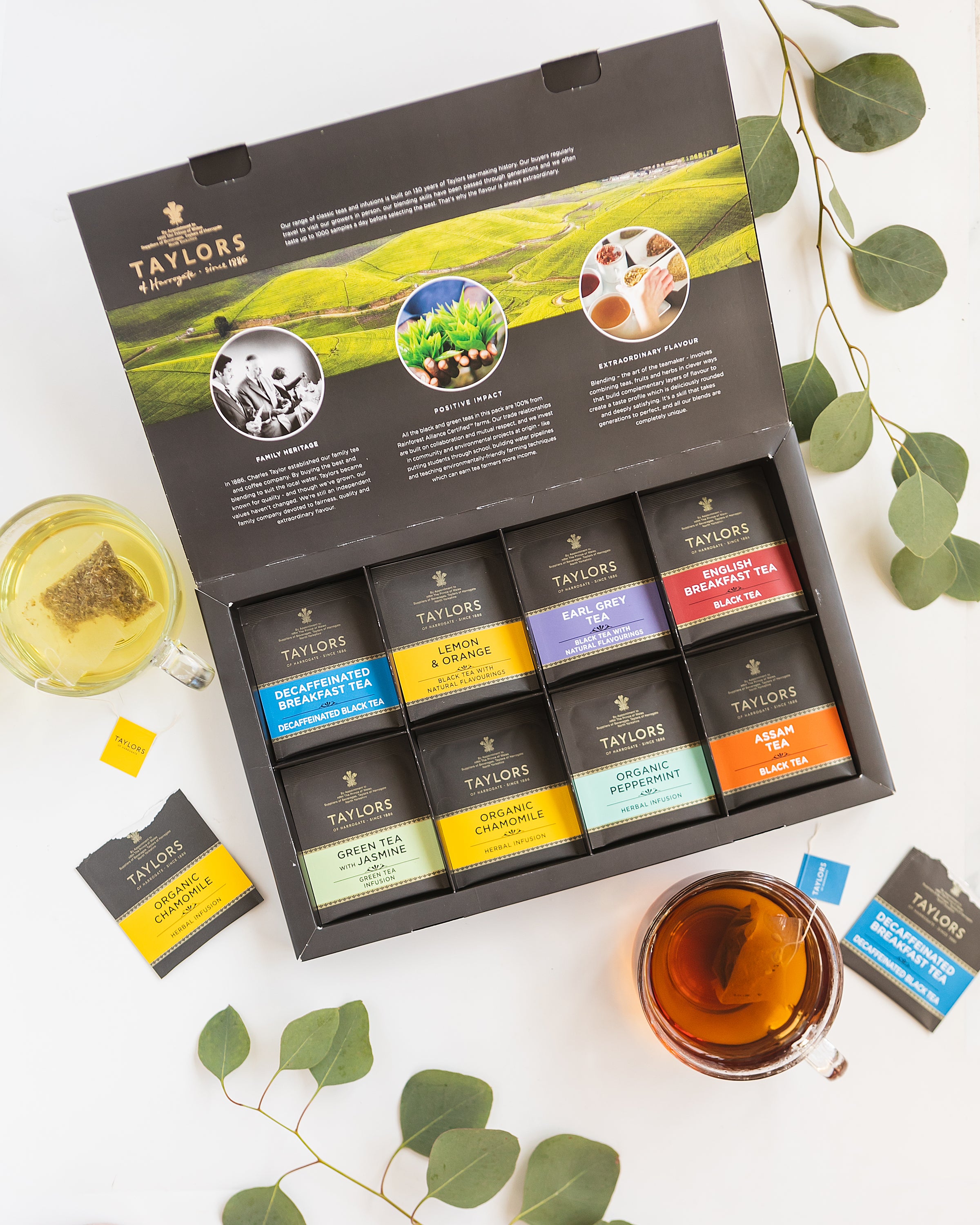 Assorted Specialty Teas Box, 48 count