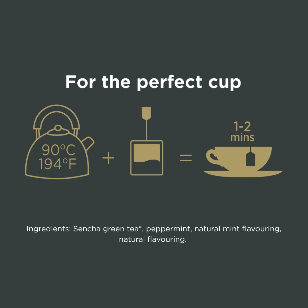 Taylors of Harrogate Green Tea with Mint Tea, 20 Count