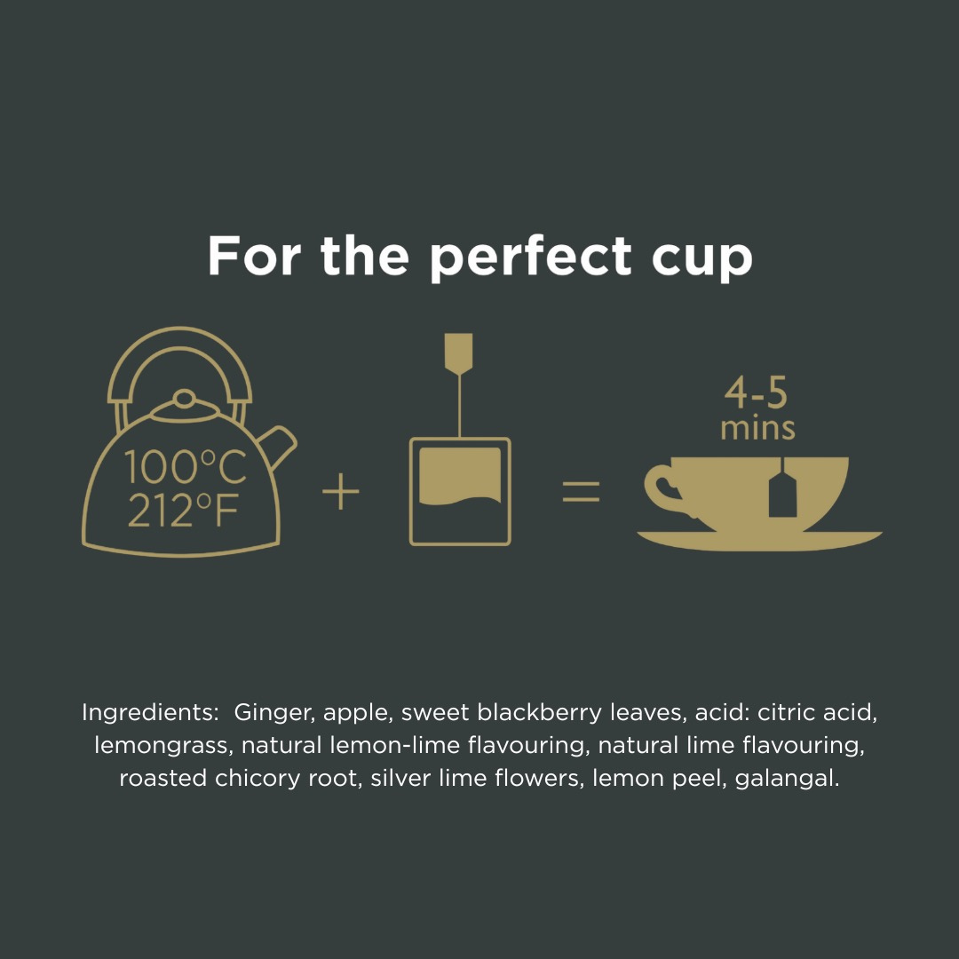 Taylors of Harrogate Lemon & Ginger Herbal Tea, 100 Count